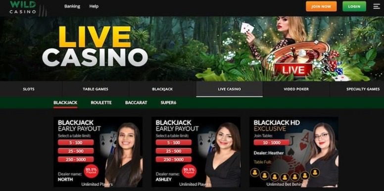 wild-casino-1