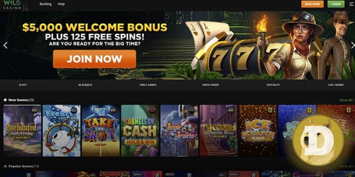wild-casino-dogecoin